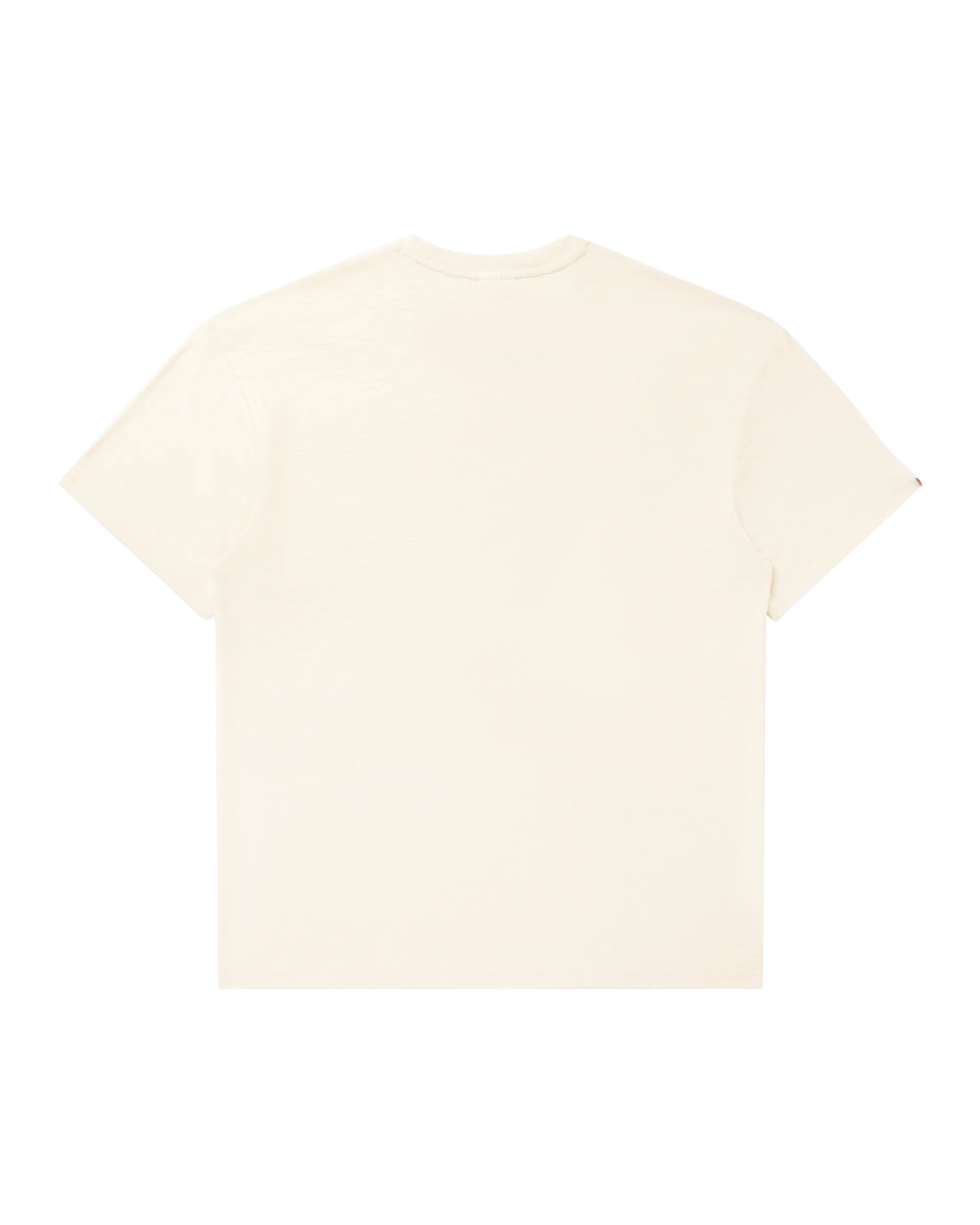 Astro Wrangler Tee