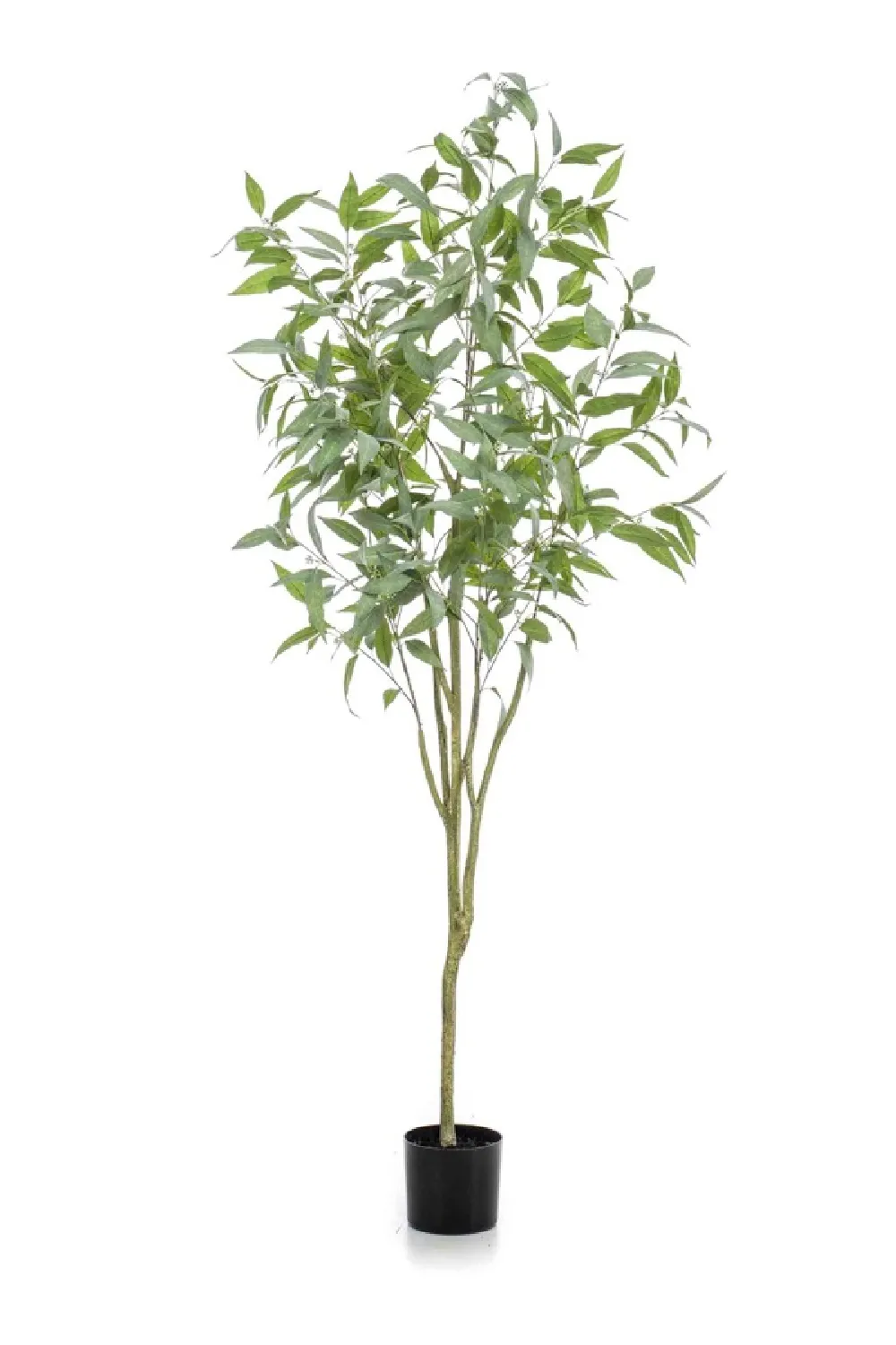 Blue Gum Faux Tree Set (2) | Emerald Eucalyptus Globulus