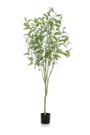 Blue Gum Faux Tree Set (2) | Emerald Eucalyptus Globulus