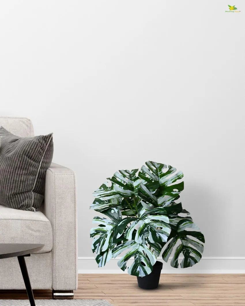Durable Monstera Artificial Polyester Plant with Pot | 12 Leaves | 2 feet