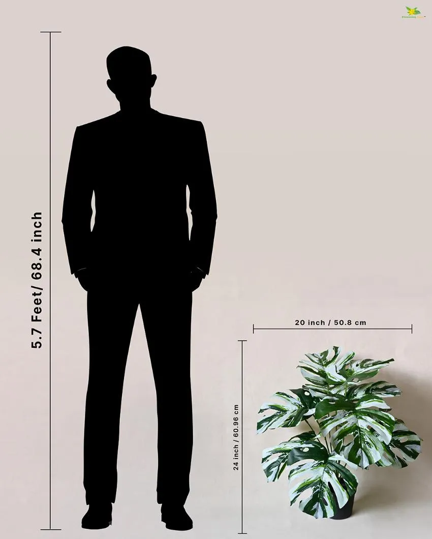 Durable Monstera Artificial Polyester Plant with Pot | 12 Leaves | 2 feet