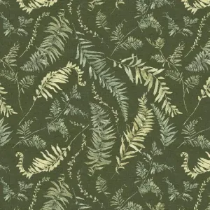 Green Fields - Ferns All Over Forest