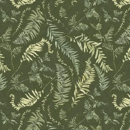 Green Fields - Ferns All Over Forest