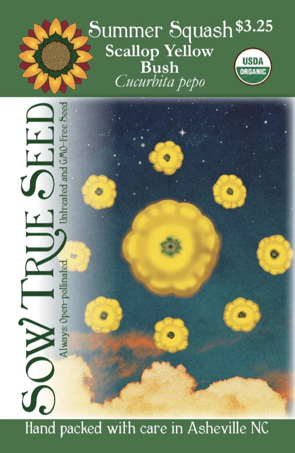 Summer Squash Seeds - Scallop Yellow Bush, ORGANIC